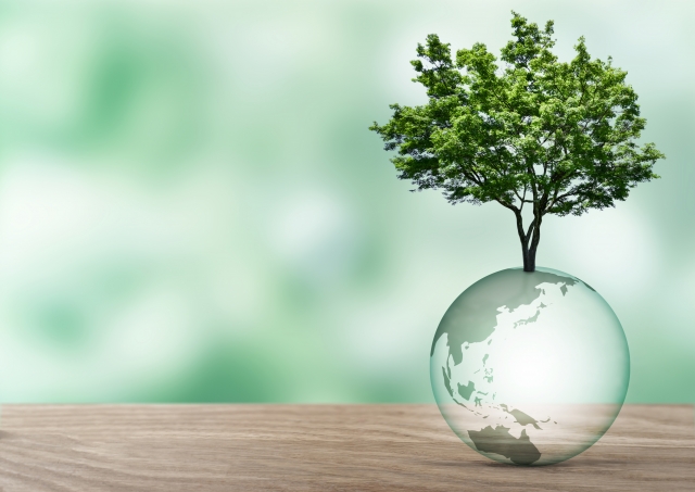 フードロスのビジネス（海外）ビジネスチャンス（SDGsのフードロスビジネス）