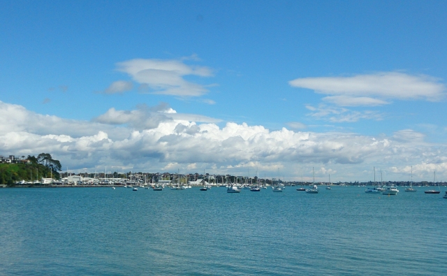 海外のビジネス系youtuber！起業の本と防災ビジネス、起業しやすい国